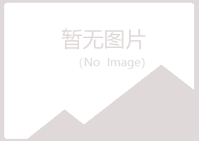 安阳文峰回忆化学有限公司